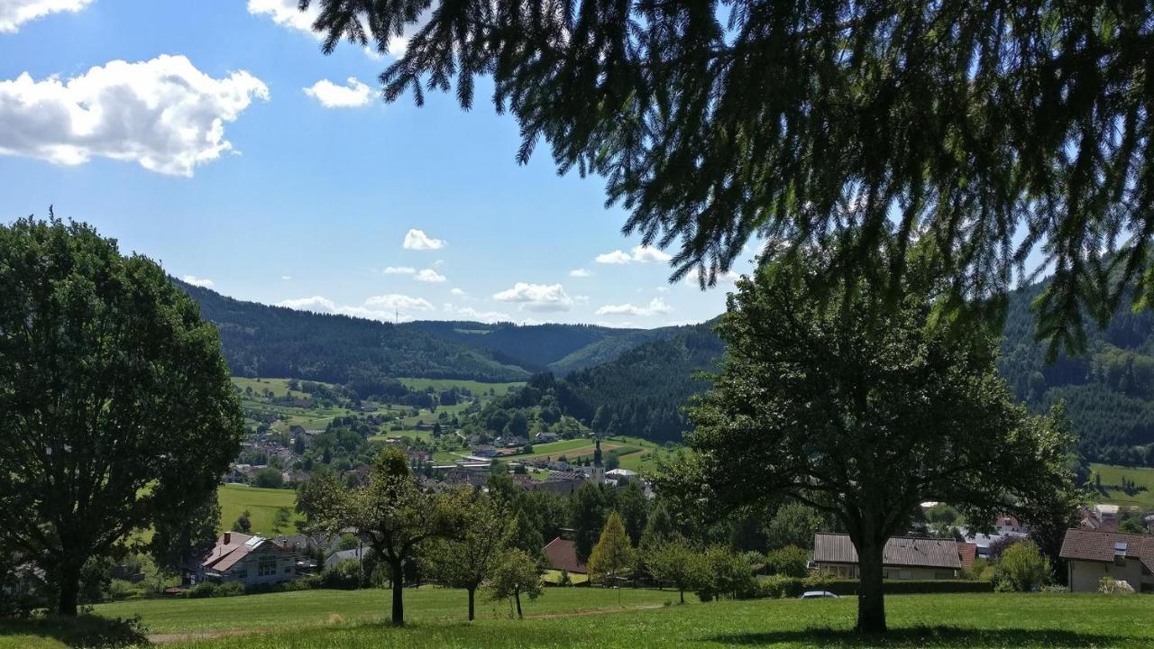 Schwarzwaelder Ferienwohnungen Зельбах Экстерьер фото