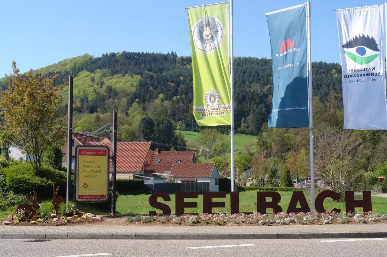 Schwarzwaelder Ferienwohnungen Зельбах Экстерьер фото