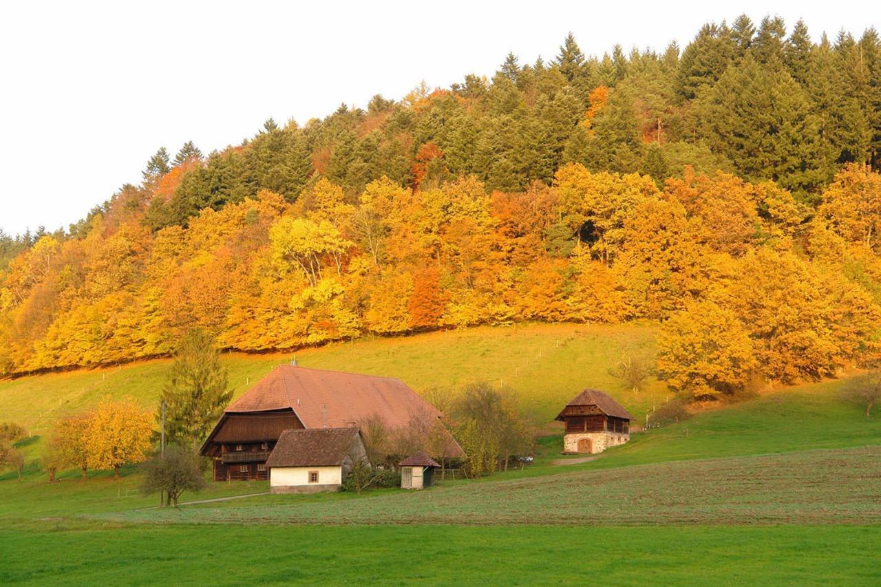 Schwarzwaelder Ferienwohnungen Зельбах Экстерьер фото