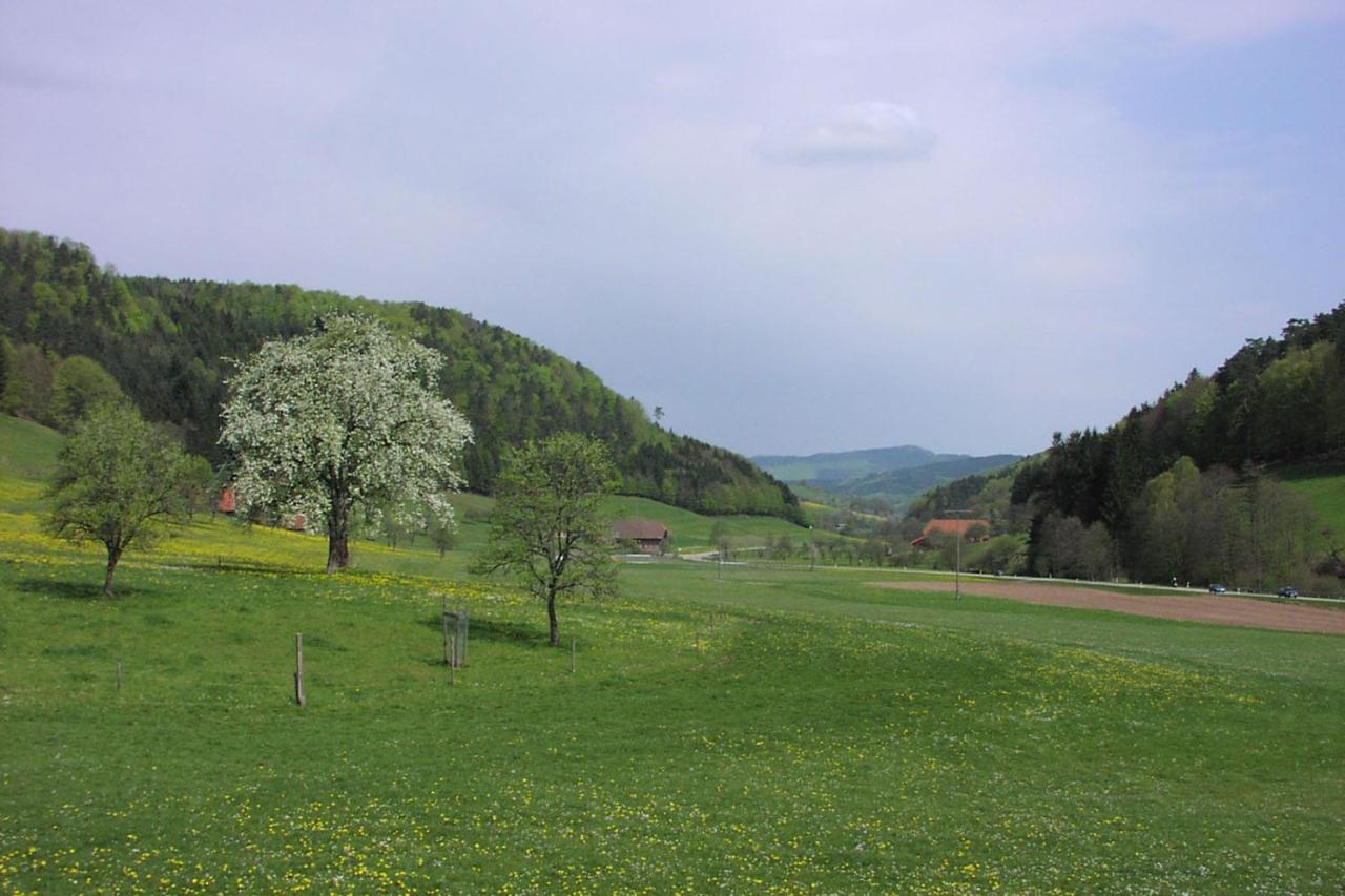 Schwarzwaelder Ferienwohnungen Зельбах Экстерьер фото
