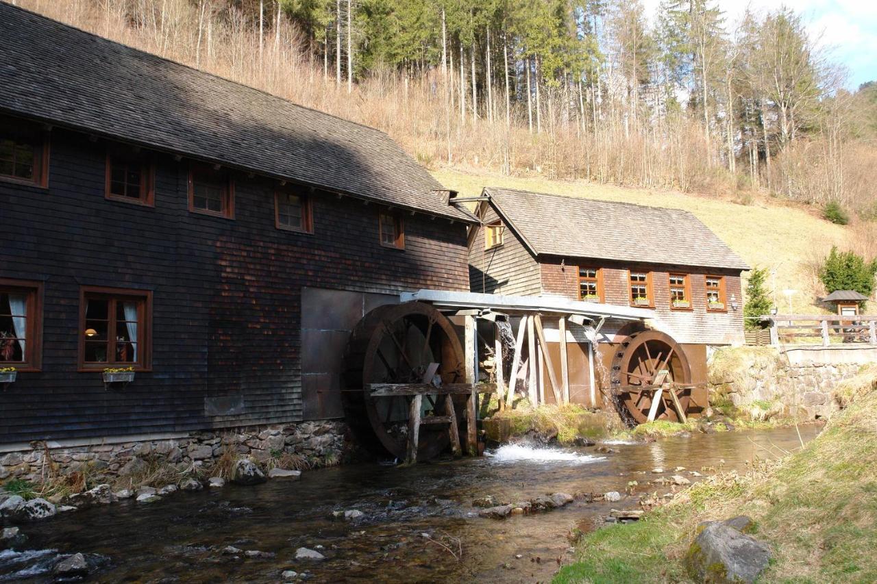 Schwarzwaelder Ferienwohnungen Зельбах Экстерьер фото