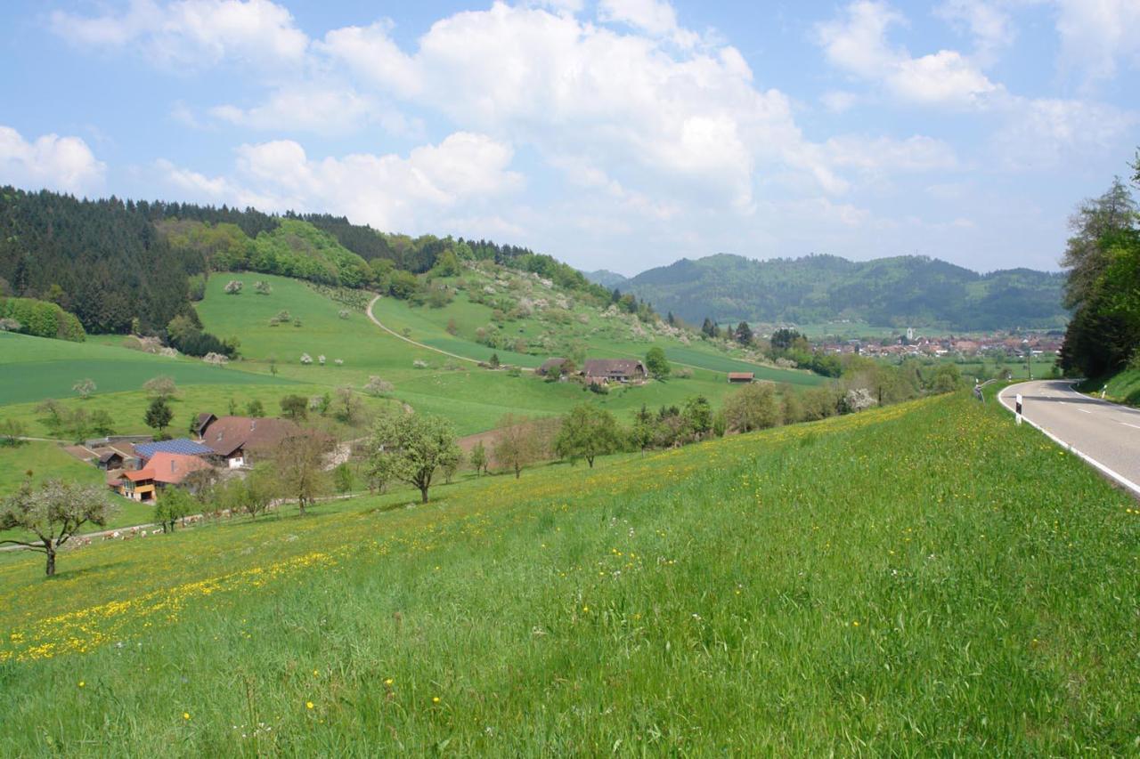 Schwarzwaelder Ferienwohnungen Зельбах Экстерьер фото